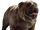 Lockjaw