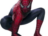 Spider-Man (Earth-96283)