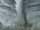 Cyclone