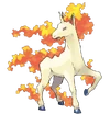 Rapidash