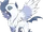 Absol