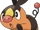 Tepig