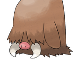 Piloswine