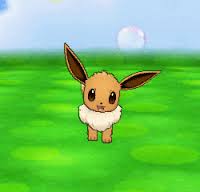 Eevee, Pokémon Fano Wiki