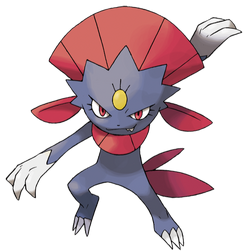 Weavile