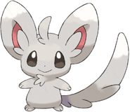 Minccino