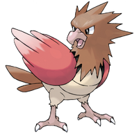 Spearow