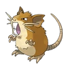 Raticate