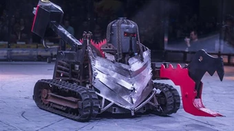 professional fighting robot