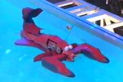 LinfordLobster tg02.jpg