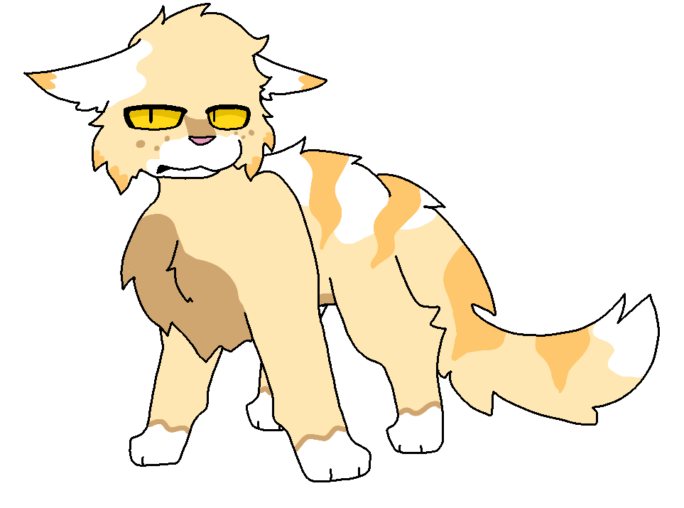 Chamomilevoyage Warriors Ultimate Stars Wiki Fandom