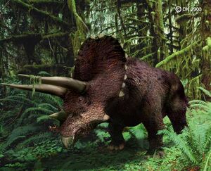 Triceratops1