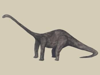 Dippy Yet Again.jpg