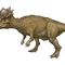 Pachycephalosaurus