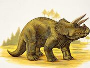 Triceratops