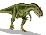 Allosaurus