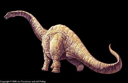 Argentinosaurus.jpg