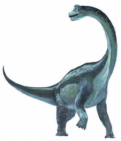 The massive brachi.jpg