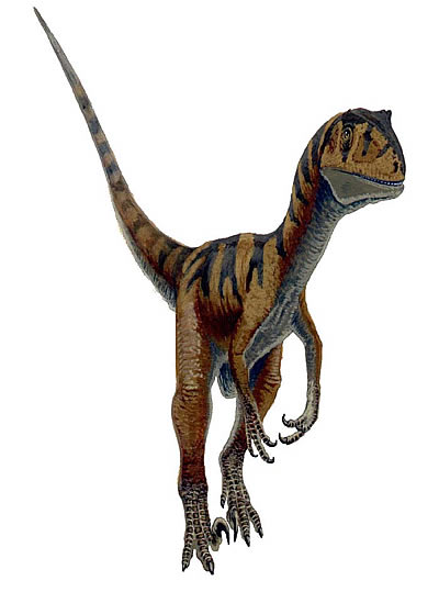 The Terrible Claw: Facts About Deinonychus