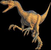 Velociraptor.jpg