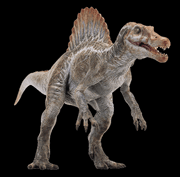 JPSpino