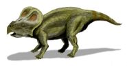 Protoceratops-Green1