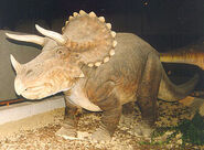 Triceratopsbot