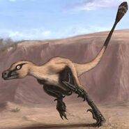 New Discovery Linheraptor