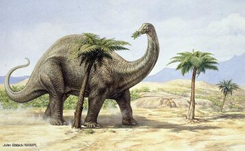 Apatosaurus 1.jpg
