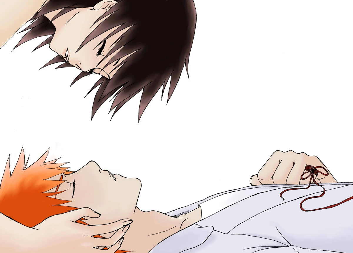 Ichigo x Tatsuki Ultimate Pairing Fun Wiki Fandom