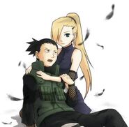 Shikaino5