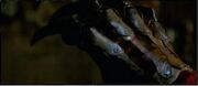 Freddyglove11