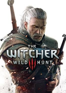 Started playing Witcher for the first time, what's up with Geralt's sword  stance? : r/gaming