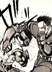 Iwao Akatsuki Fight