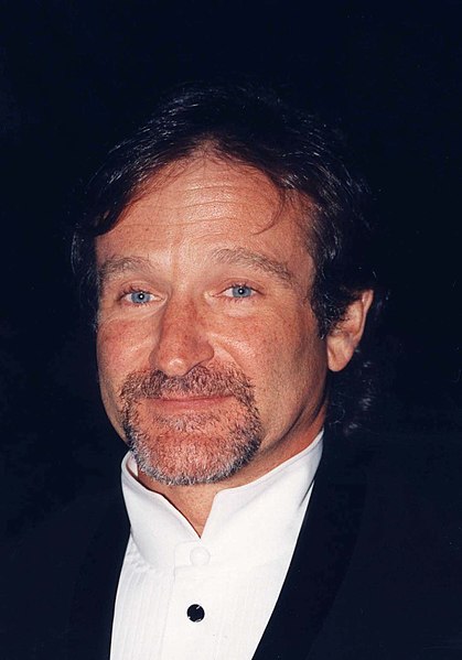 Robin Williams Ultimate Pop Culture Wiki Fandom