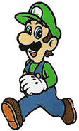 Luigi's artwork in Super Mario Bros. 2