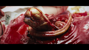 Alien 1979 Chestburster