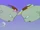 Music (39).png