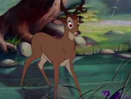 Bambi-bambi-surprised
