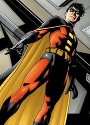 Robin Tim Drake