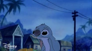 Lilo & Stitch The Series - Spooky (248).png (1.34 MB)