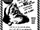 North American Aerospace Defense Command
