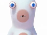Rabbid (species)