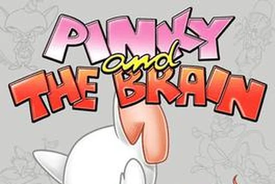 Brain (Pinky and the Brain) | Warner Bros. Entertainment Wiki | Fandom