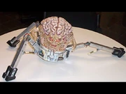 Model of the Spider Mastermind