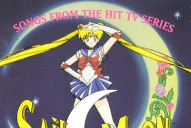 洋楽 SAiLOR MOON SONGS FROM THE HIT TV SERIES Sailor Moon - Songs From The Hit TV Series (Complete CD