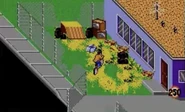 Paperboy 2 SMS 3.jpg (406 KB) Source of picture: www.youtube.com