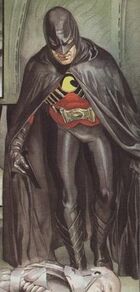 Red Robin (Kingdom Come)