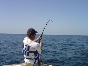 Fiberglass Fishing Rods Lightweight Fishing Equipment Sea Pole Sea Angling  Tool 
