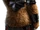 Kuma II